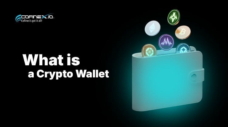 What is a Crypto Wallet? How it works and why it matters?