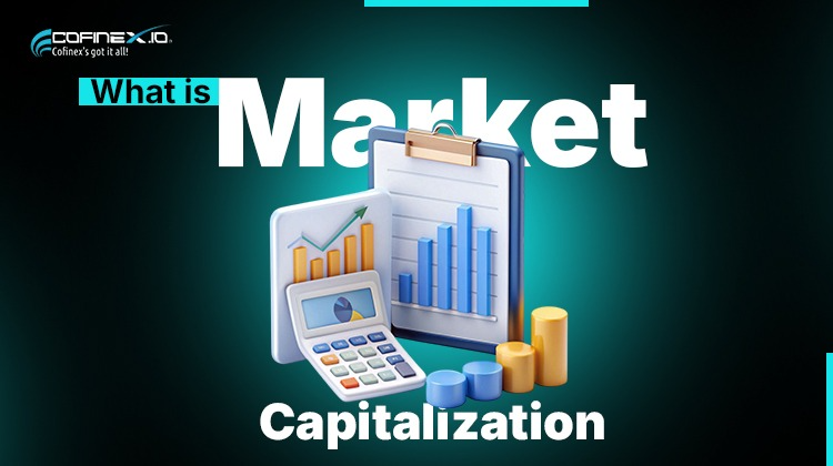 What is Market Capitalization and Why does it matter?