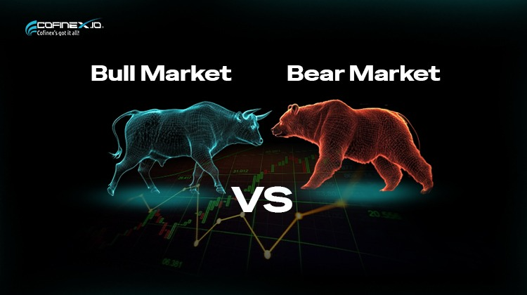 What is a Crypto Bull Market and Bear Market?