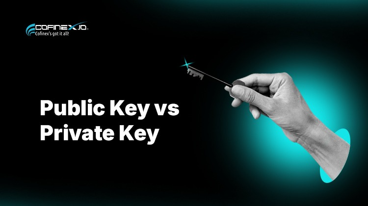 Public Key vs Private Key: Understanding the Difference