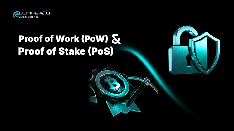 Proof of Work vs Proof of Stake: Key Differences Explained