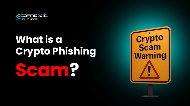 What is a Crypto Phishing Scam?