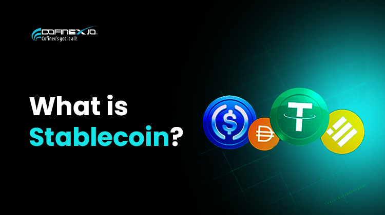 What is a Stablecoin?