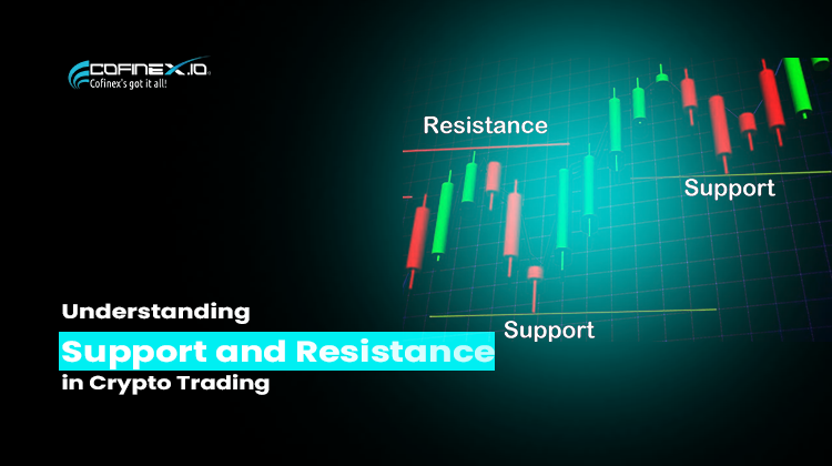 Understanding Support and Resistance in Crypto Trading